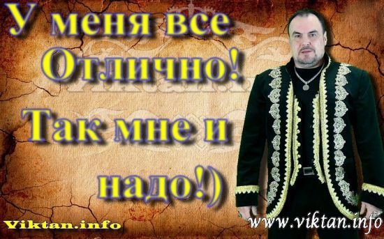 article339.jpg