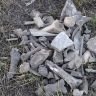 Ольвия историко-археологический заповедник