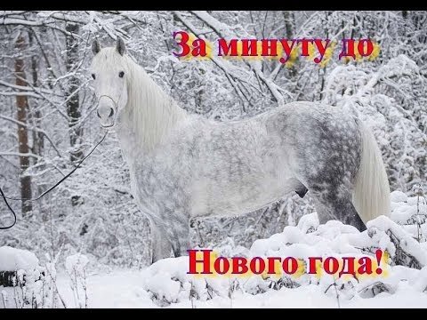 За минуту до Н.года.